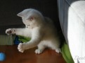 dante_01