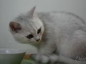 dante_01