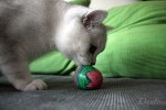 dante_04