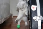 dante_05